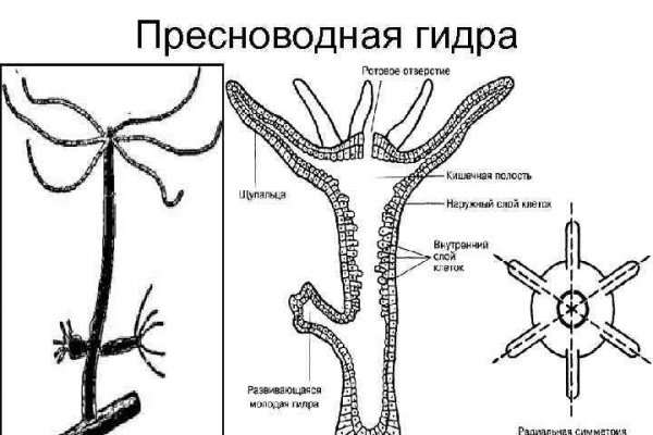 Официальный сайт омг